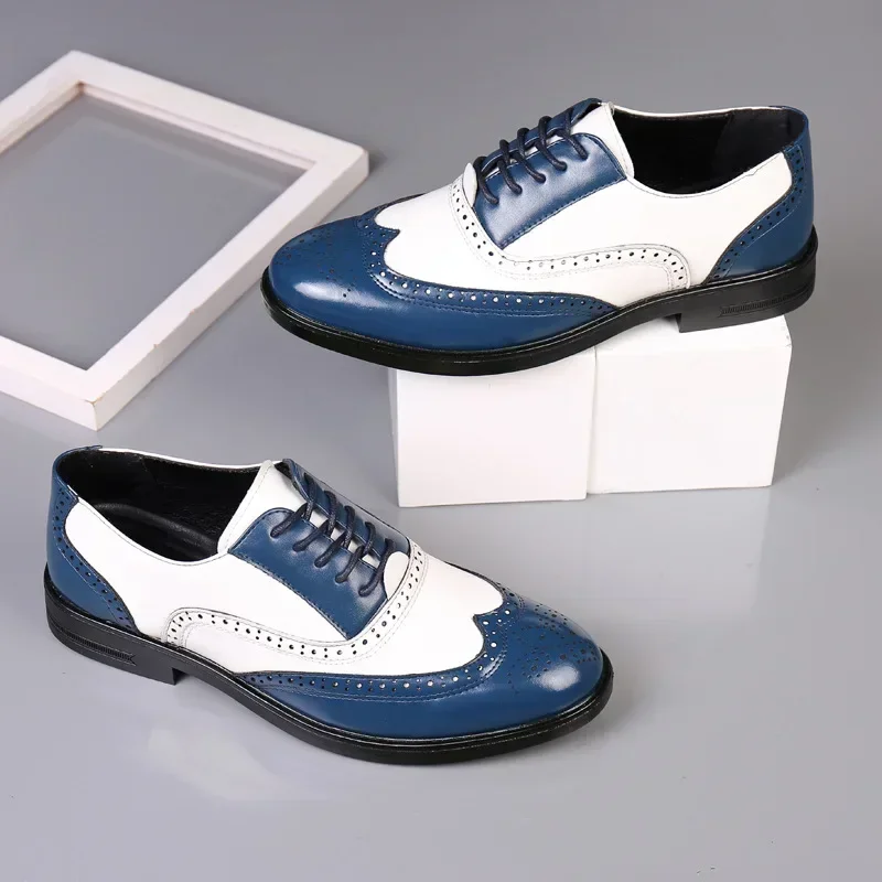 Couleurs mélangées hommes chau - Oxford Brogue Leather avis et prix