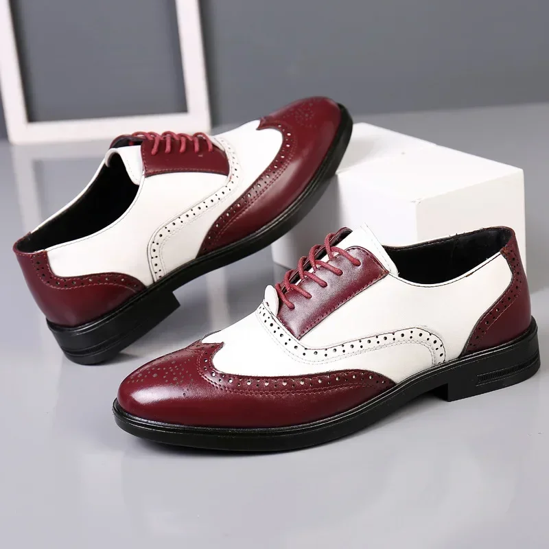 Couleurs mélangées hommes chau - Oxford Brogue Leather avis et prix