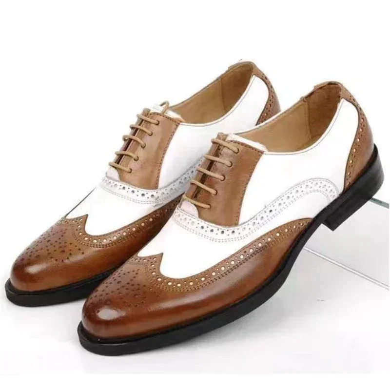 Couleurs mélangées hommes chau - Oxford Brogue Leather avis et prix